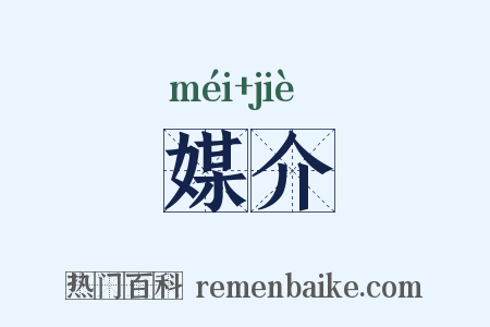媒介是什么意思的图片